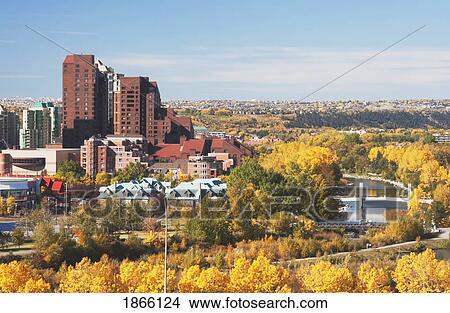 Picture - Autumn in Bow River Valley, Calgary, Alberta, Canada. Fotosearch