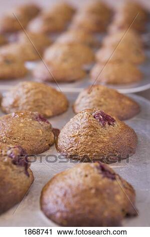 Stock Image - baked muffins in muffin pans. Fotosearch