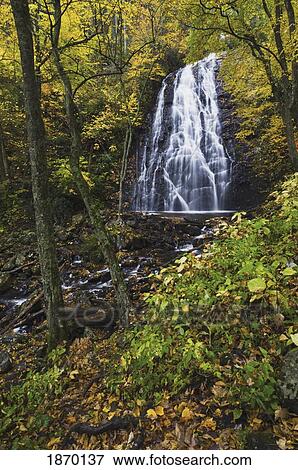 Stock Photo - blue ridge parkway, north carolina, united states of america; autumn colors around crabtree falls. Fotosearch