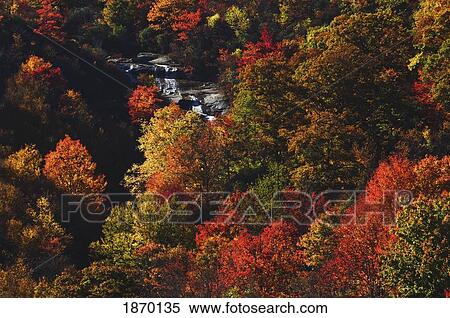 blue ridge parkway, north carolina, united states of america; second falls of the yellowstone prong and autumn colors at graveyard fields View Large Photo Image Stock Photography - blue ridge parkway, north carolina, united states of america; second falls of the yellowstone prong and autumn colors at graveyard fields. Fotosearch
