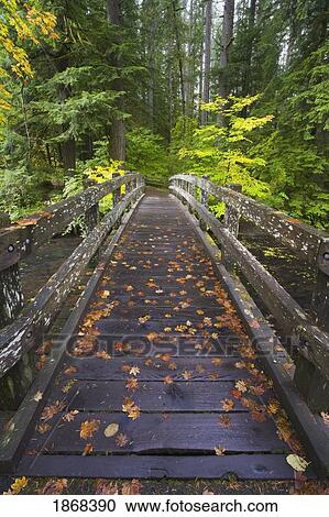 bridge in a park View Large Photo Image Stock Image - bridge in a park. Fotosearch