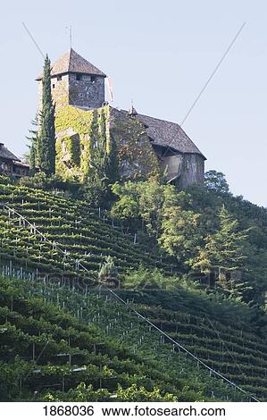 Stock Photograph - castle on the top of a hillside vineyard, alto adige, italy. Fotosearch