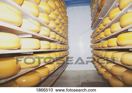 Cheese factory, Alberta, Canada View Large Photo Image Stock Image - Cheese factory, Alberta, Canada. Fotosearch