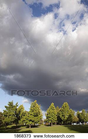 Stock Image - clouds over a park. Fotosearch