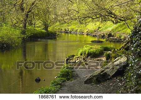 cressbrook, derbyshire, england; river wye in peak district national park View Large Photo Image Stock Image - cressbrook, derbyshire, england; river wye in peak district national park. Fotosearch