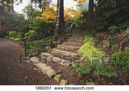 crystal springs rhododendron garden, portland, oregon, usa View Large Photo Image Stock Image - crystal springs rhododendron garden, portland, oregon, usa. Fotosearch
