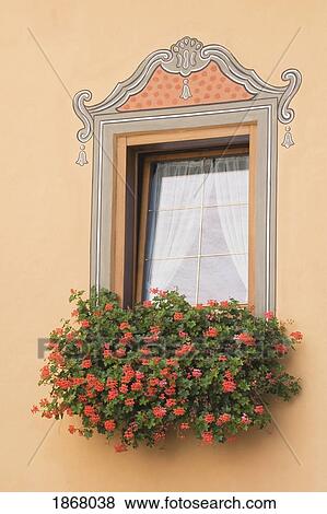 Stock Photo - decorative window with a flower box, castelrotto, alto adige, italy. Fotosearch