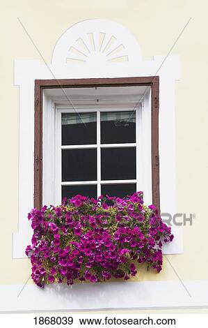 decorative window with a flower box, ortisei, alto adige, italy View Large Photo Image Stock Photo - decorative window with a flower box, ortisei, alto adige, italy. Fotosearch