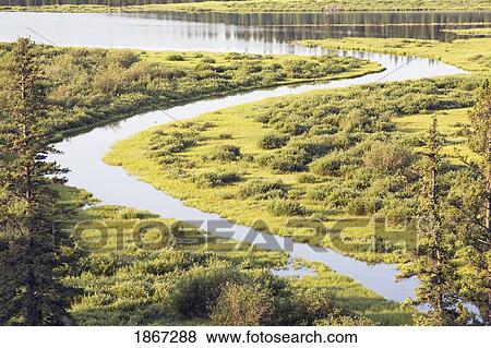 delta of the elbow river, calgary, alberta, canada View Large Photo Image Stock Photo - delta of the elbow river, calgary, alberta, canada. Fotosearch