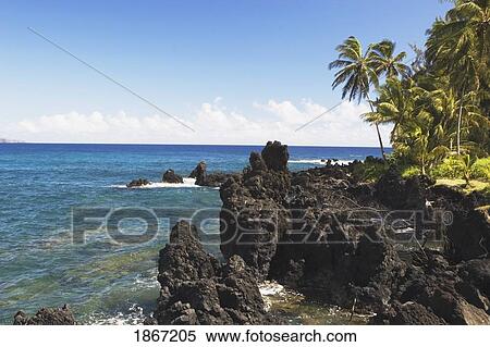 east coast of maui, hawaii View Large Photo Image Stock Photography - east coast of maui, hawaii. Fotosearch