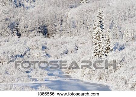 Stock Photograph - elbow river, calgary, alberta, canada. Fotosearch