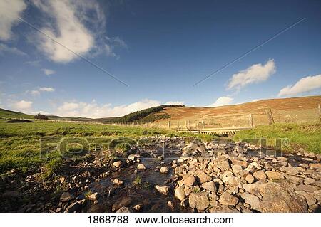 elsdonburn, northumberland, england; a shallow creek with a bridge going over it View Large Photo Image Stock Photo - elsdonburn, northumberland, england; a shallow creek with a bridge going over it. Fotosearch