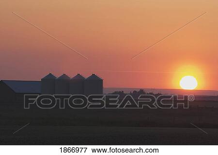 farmyard and grain silos south of high river, alberta, canada View Large Photo Image Stock Photo - farmyard and grain silos south of high river, alberta, canada. Fotosearch