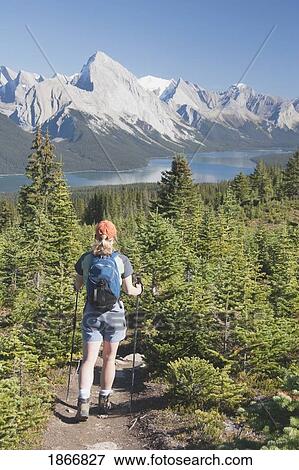 Female hiker on trail with hiking sticks, Jasper National Park, Alberta, Canada View Large Photo Image Stock Photo - Female hiker on trail with hiking sticks, Jasper National Park, Alberta, Canada. Fotosearch