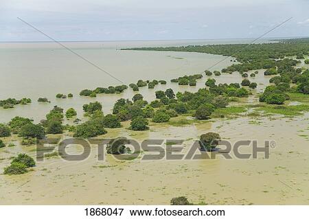 Stock Photo - flooded landscape over rice fields, tonle sap, siem reap, cambodia. Fotosearch