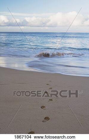 Picture - Footprints in the sand leading to the water. Fotosearch