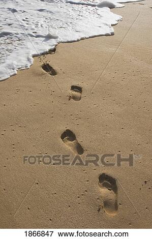 Stock Photo - footprints in the sand, maui, hawaii. Fotosearch