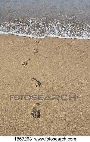 footprints in the sand, south kauai, hawaii, usa View Large Photo Image Stock Image - footprints in the sand, south kauai, hawaii, usa. Fotosearch