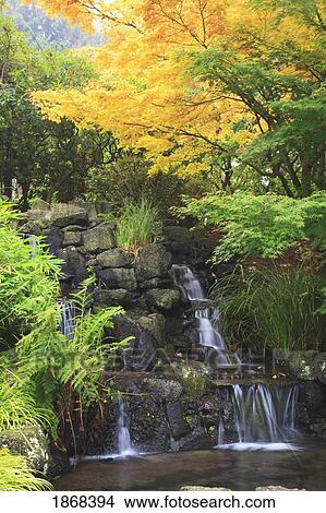 Picture - forest. Fotosearch