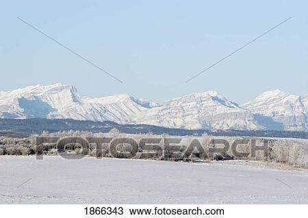 Front range mountains of Canadian Rockies in winter, Alberta, Canada View Large Photo Image Stock Image - Front range mountains of Canadian Rockies in winter, Alberta, Canada. Fotosearch