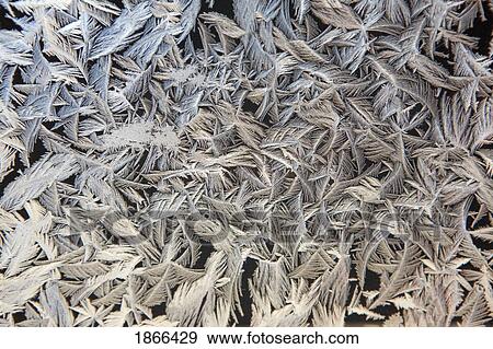 Frost pattern on window, Calgary, Alberta, Canada View Large Photo Image Stock Photo - Frost pattern on window, Calgary, Alberta, Canada. Fotosearch