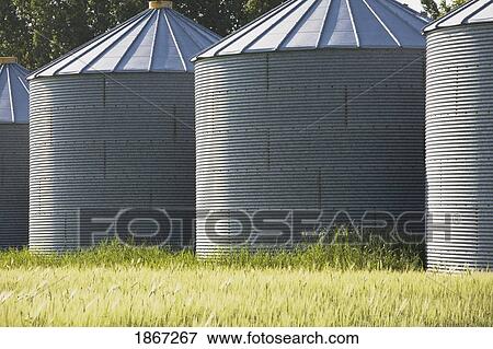 grain silos, central alberta, canada View Large Photo Image Stock Photo - grain silos, central alberta, canada. Fotosearch