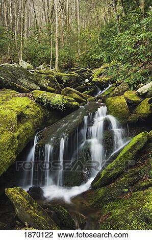 Stock Image - great smoky mountains national park, united states of america; cascade and moss covered rock in the forest. Fotosearch