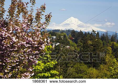 happy valley, mount hood, oregon, usa View Large Photo Image Stock Image - happy valley, mount hood, oregon, usa. Fotosearch