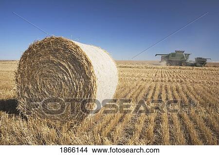 Hay bale and combine in cut field, Alberta, Canada View Large Photo Image Picture - Hay bale and combine in cut field, Alberta, Canada. Fotosearch