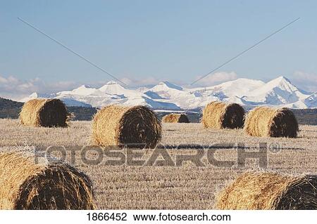 Stock Image - Hay bales and mountains. Fotosearch