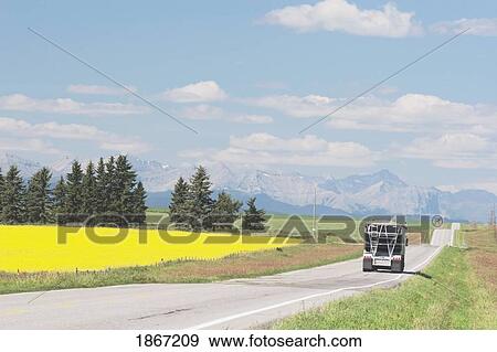 Stock Photo - Highway road with truck beside canola field. Fotosearch
