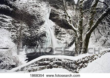 Picture - horsetail falls, columbia river gorge national scenic area, oregon, usa. Fotosearch