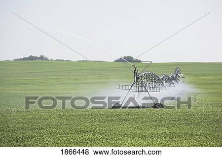 Stock Photo - Irrigation line spraying green field. Fotosearch