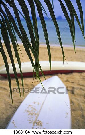 kayaks, koh ngai, trang islands, thailand View Large Photo Image Picture - kayaks, koh ngai, trang islands, thailand. Fotosearch