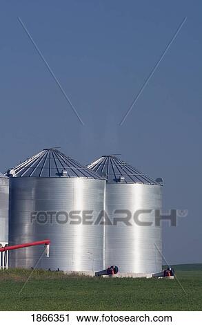 Large metal grain bins, Alberta, Canada View Large Photo Image Stock Image - Large metal grain bins, Alberta, Canada. Fotosearch