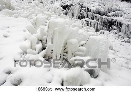 Stock Photography - latourell falls, columbia river gorge national scenic area, oregon, usa. Fotosearch