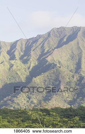 Lush forest against mountain backdrop, Kauai, Hawaii, USA View Large Photo Image Stock Photography - Lush forest against mountain backdrop, Kauai, Hawaii, USA. Fotosearch