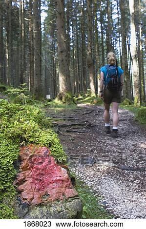 Stock Image - male hiker with a trail marker (blaze) on a rock, near siusi allo sciliar, alto adige, italy. Fotosearch