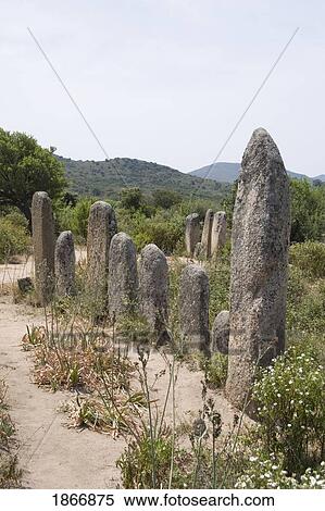 Stock Photography - menhir standing stones, filitosa, corsica, france. Fotosearch