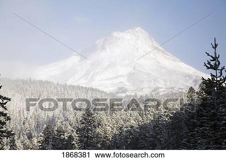 Stock Image - mount hood, oregon, usa. Fotosearch
