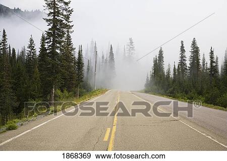Stock Photo - mount rainier national park, washington, usa. Fotosearch