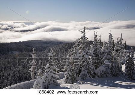 Stock Image - mountain during winter. Fotosearch