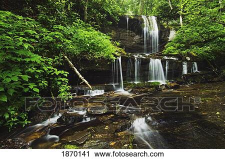 Stock Image - north carolina, united states of america; lush summer foliage at grassy creek falls. Fotosearch