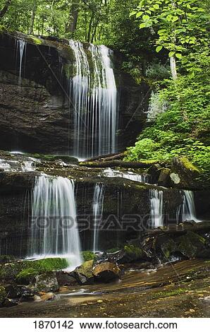 north carolina, united states of america; lush summer foliage at grassy creek falls View Large Photo Image Stock Image - north carolina, united states of america; lush summer foliage at grassy creek falls. Fotosearch