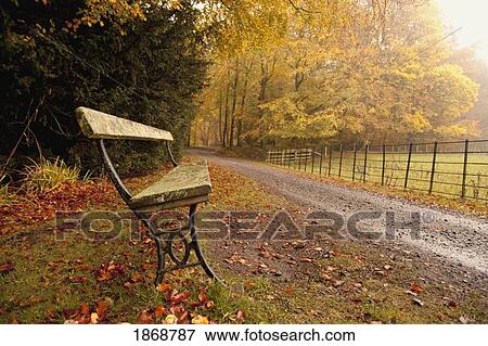northumberland, england; a bench along a road in autumn View Large Photo Image Stock Photo - northumberland, england; a bench along a road in autumn. Fotosearch