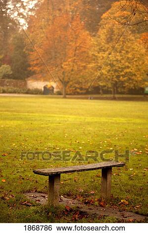 Stock Photograph - northumberland, england; a bench in a park in autumn. Fotosearch