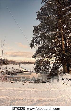 Stock Image - northumberland, england; a winter landscape. Fotosearch