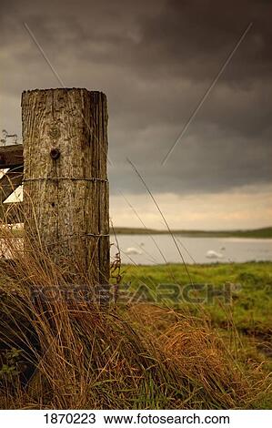 northumberland, england; a wooden fence post and a pond in a field View Large Photo Image Stock Image - northumberland, england; a wooden fence post and a pond in a field. Fotosearch