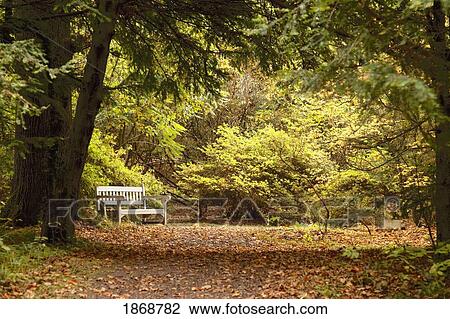 Stock Image - northumberland, england; park bench along a path in autumn. Fotosearch