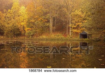 northumberland, england; trees along the water in autumn with a small shed on the shore View Large Photo Image Picture - northumberland, england; trees along the water in autumn with a small shed on the shore. Fotosearch